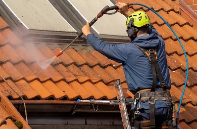 Démoussage et hydrofuge de toiture à Belleau